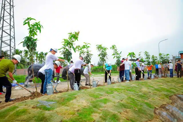 Trông nhiều cây xanh