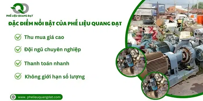 Những đặc điểm nổi bật giúp Quang Đạt luôn được khách hàng thương yêu.