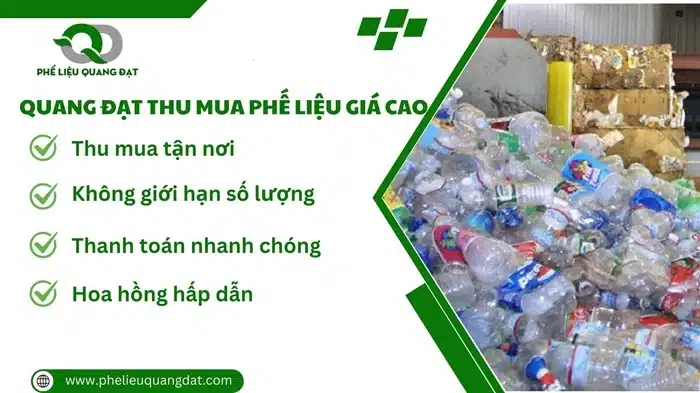 Quang Đạt luôn khẳng định vị thế của mình trong lòng khách hàng bởi chất lượng dịch vụ và giá thu mua phế liệu cao.