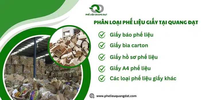 Quang Đạt phân loại phế giấy giúp báo giá chính xác, nhanh chóng.