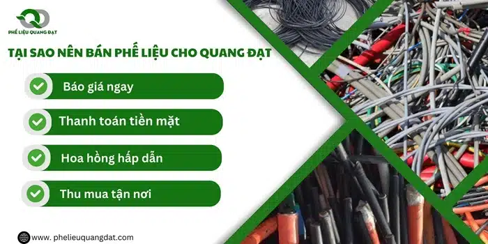 Quang Đạt luôn xử lý yêu cầu từ khách hàng một cách nhanh chóng.